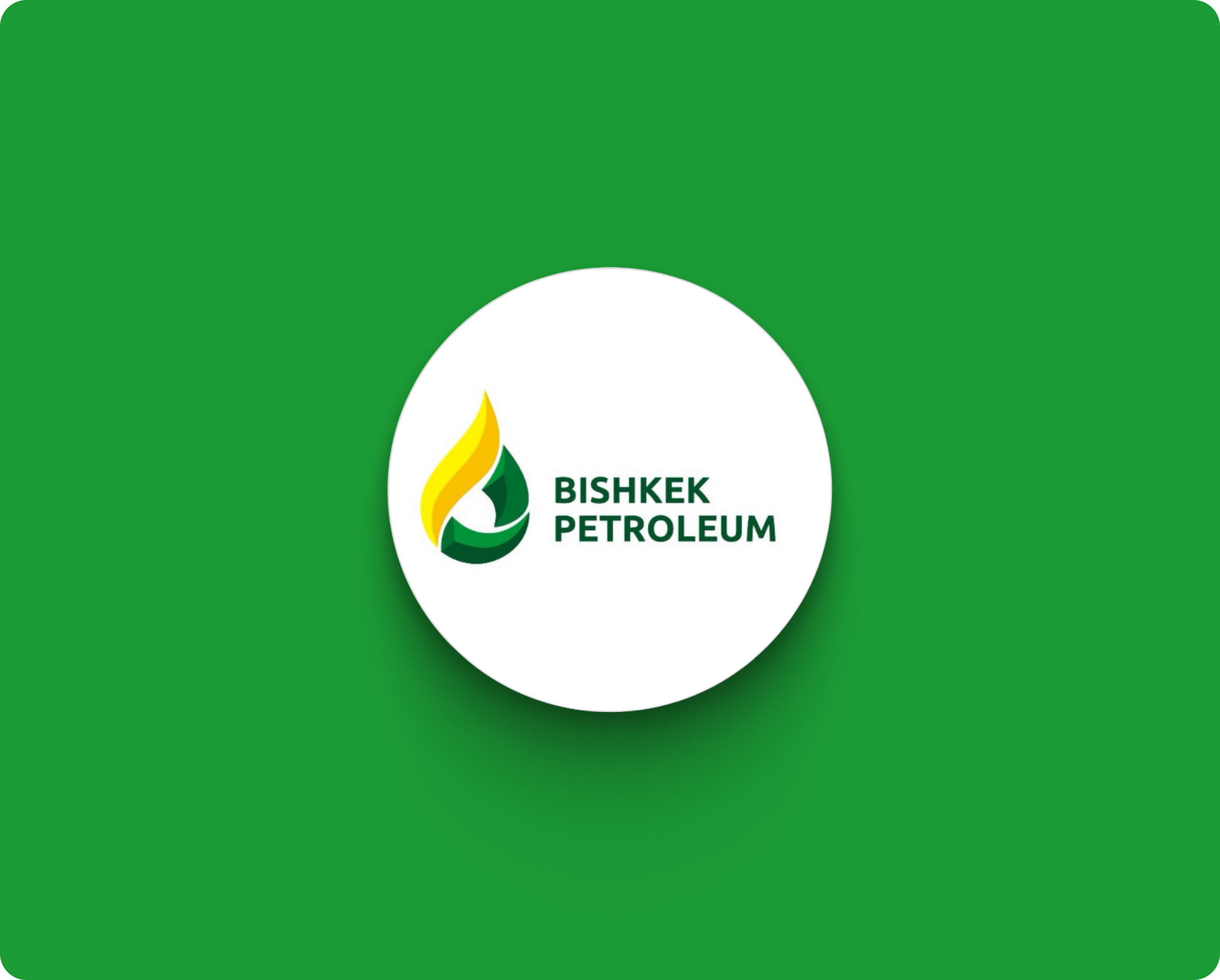 Bishkek Petroleum project cover